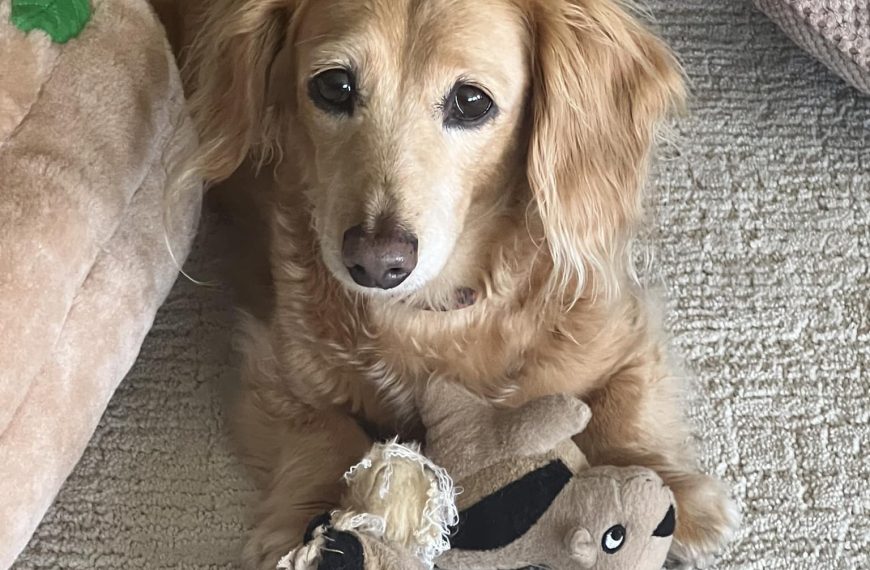 This isn’t my true size…