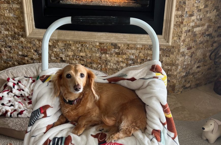 Annie in front of her fireplace