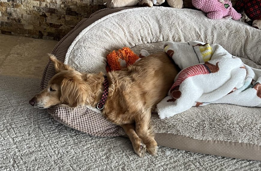 I like to huddle in the heaps…