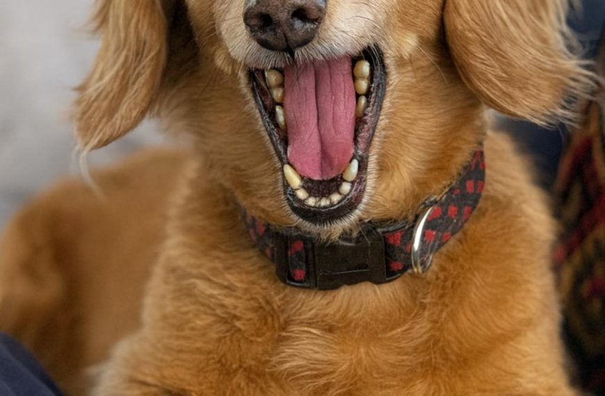 Your laughter makes me smile…