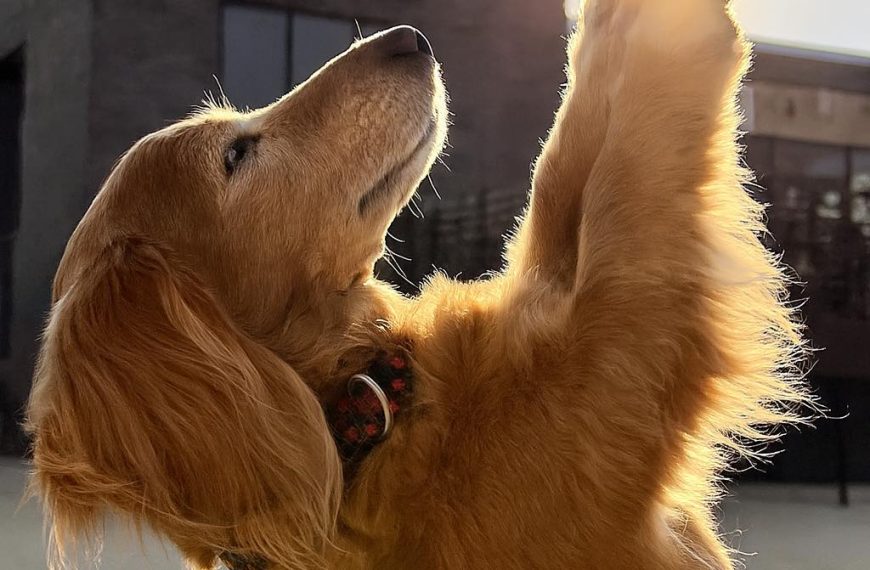 Sometimes the sun comes up too soon…