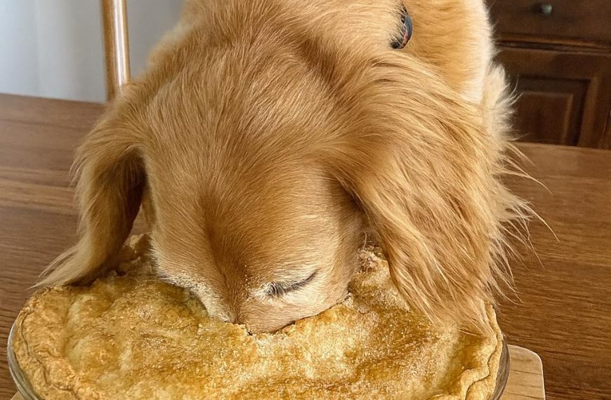 It’s too late mama…