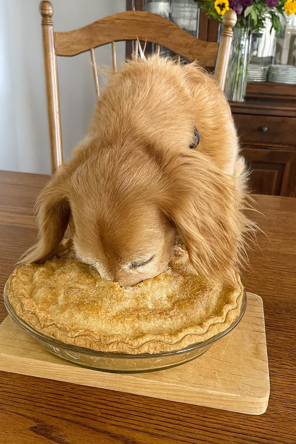 It’s too late mama…