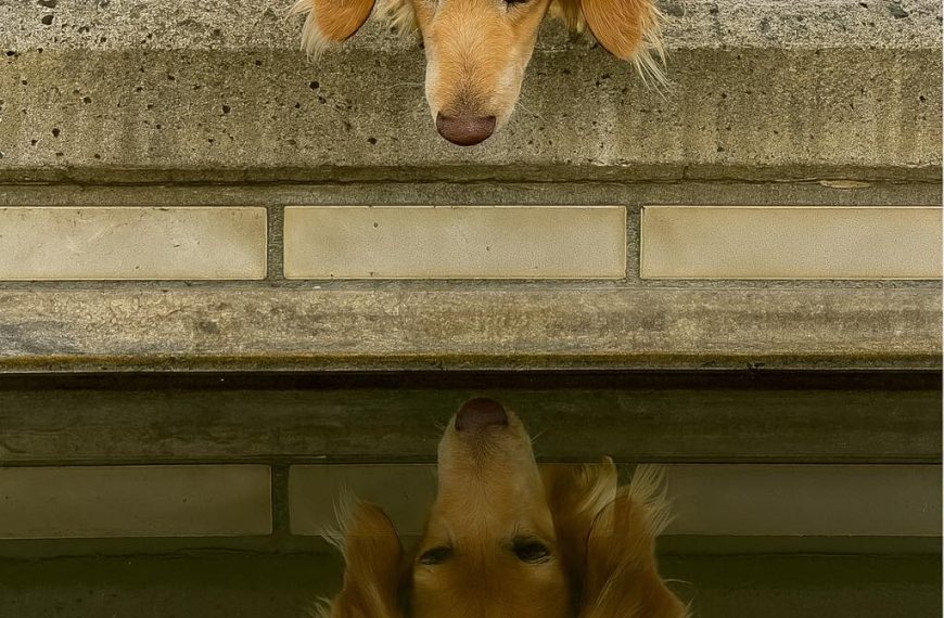 From the one lit window…