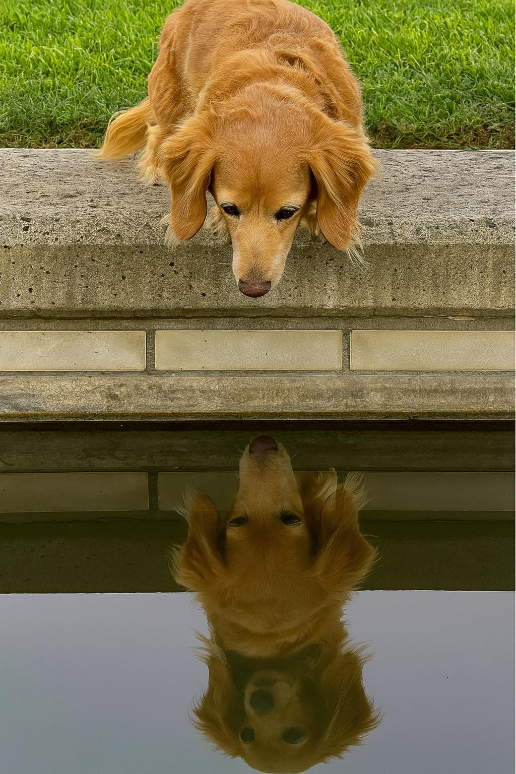 From the one lit window…