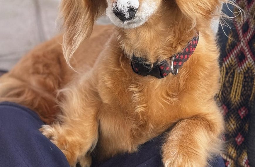 Can you see it on me?