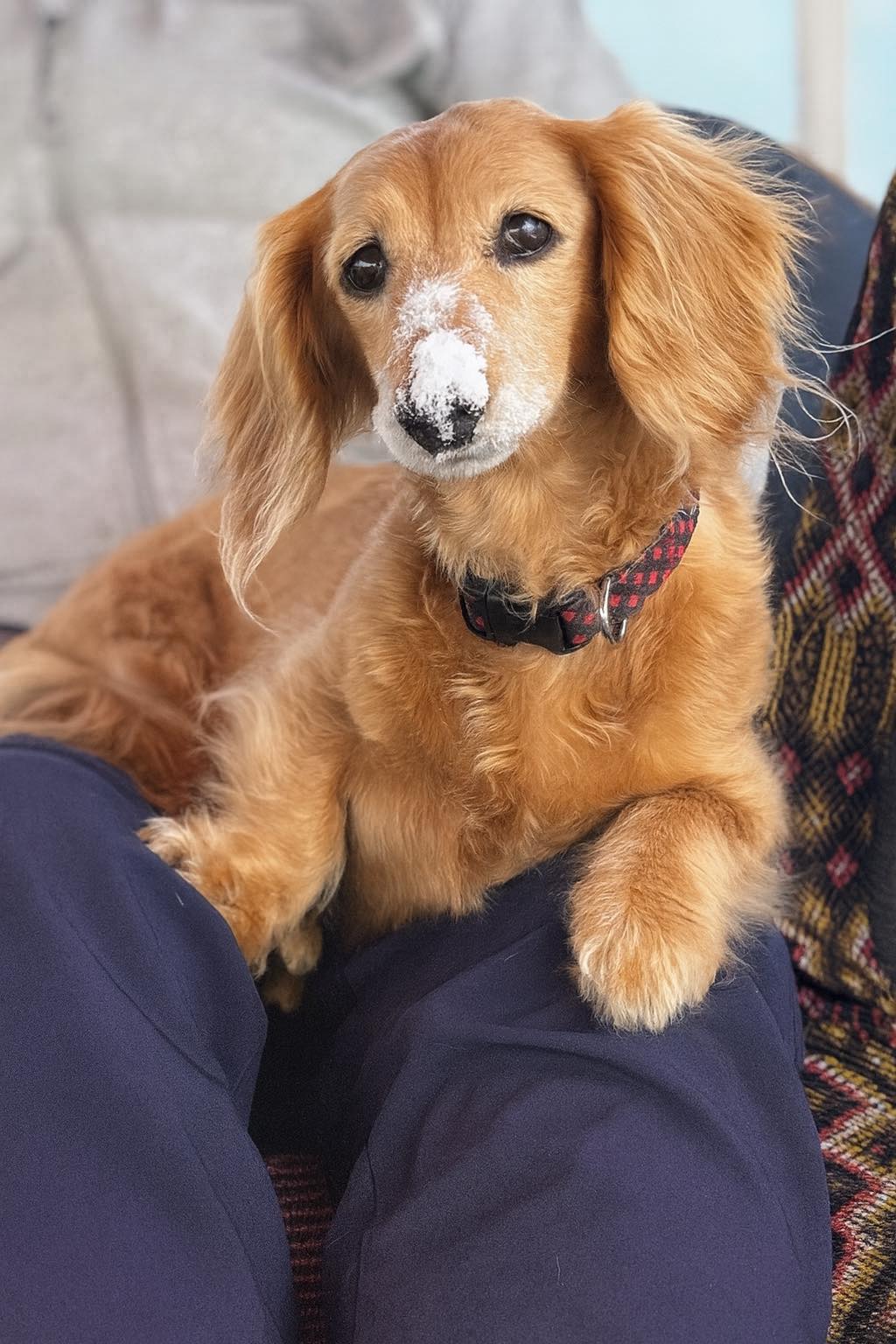 Can you see it on me?