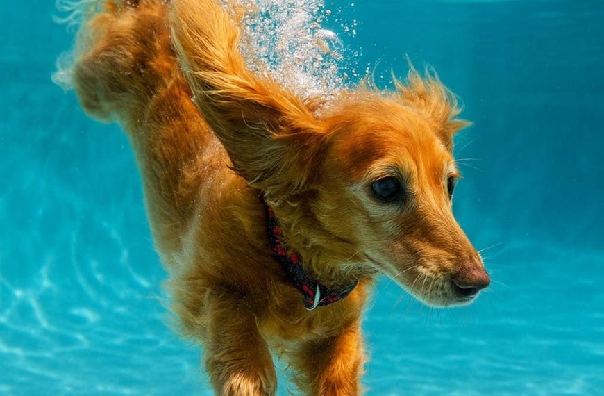 Whatever I have is plenty…